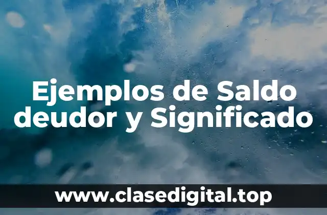 Ejemplos de Saldo deudor