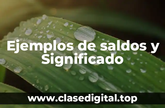 Ejemplos de saldos y Significado