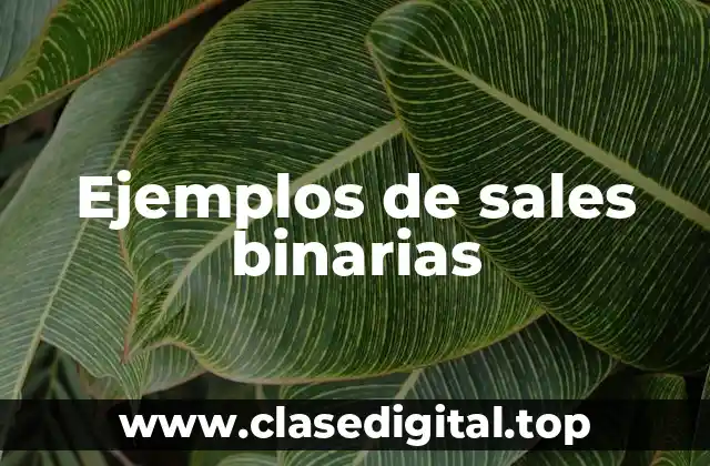 Ejemplos de sales binarias