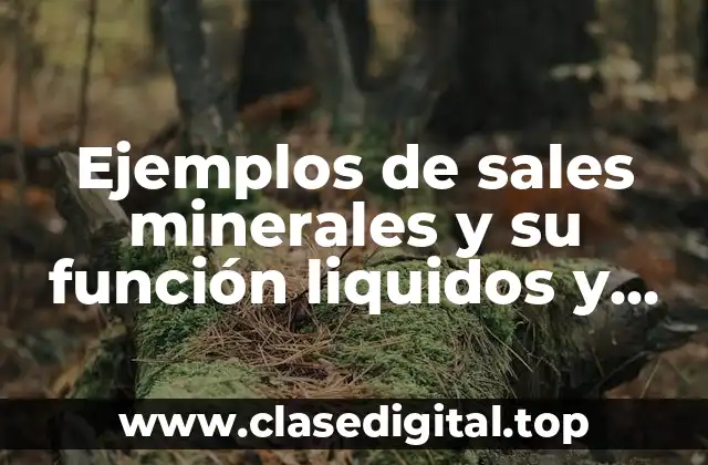 Ejemplos de sales minerales y su función liquidos y solidos