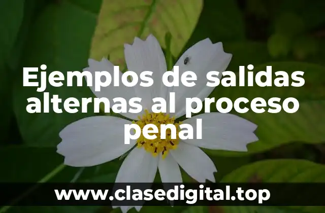 Ejemplos de salidas alternas al proceso penal
