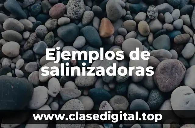 Ejemplos de salinizadoras