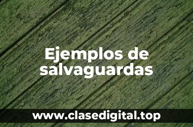 Ejemplos de salvaguardas