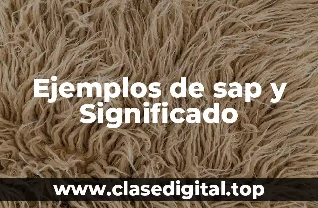 Ejemplos de sap y Significado