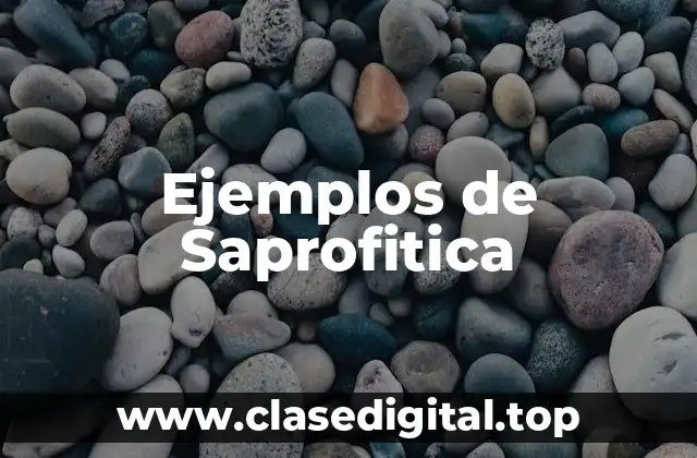Ejemplos de Saprofitica