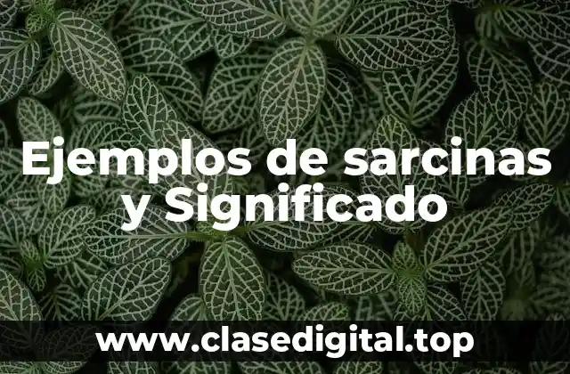 Ejemplos de sarcinas y Significado