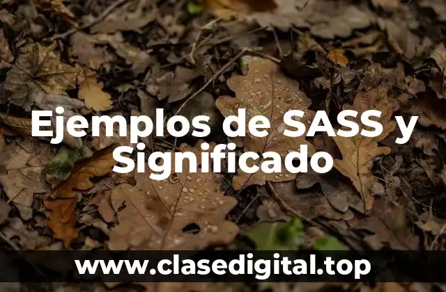 Ejemplos de SASS y Significado
