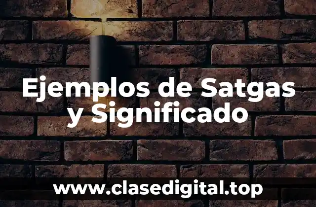 Ejemplos de Satgas y Significado