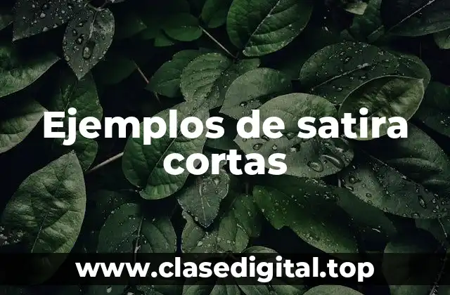 Ejemplos de satira cortas
