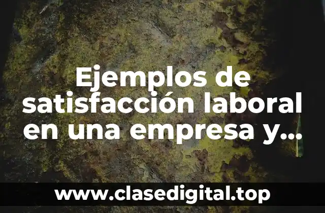 Ejemplos de satisfacción laboral en una empresa y Significado