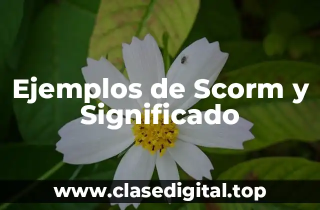 Ejemplos de Scorm