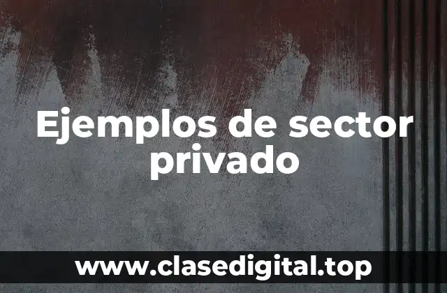 Ejemplos de sector privado