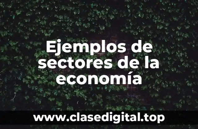 Ejemplos de sectores de la economía