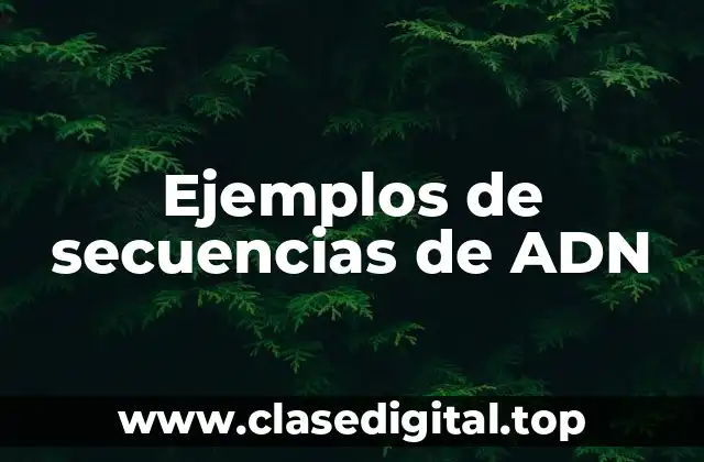 Ejemplos de secuencias de ADN