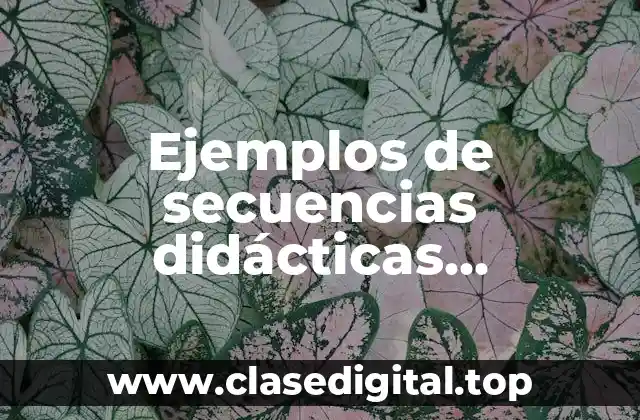 Ejemplos de secuencias didácticas secundaria