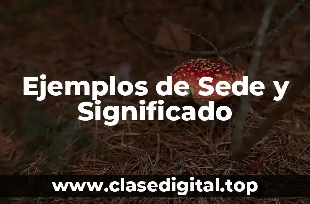 Ejemplos de Sede y Significado