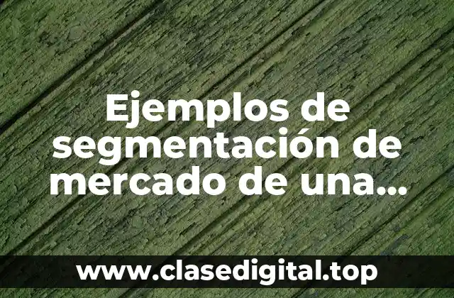 Ejemplos de segmentación de mercado de una empresa de ropa