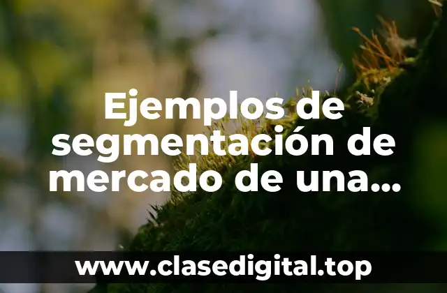 Ejemplos de segmentación de mercado de una tienda de ropa