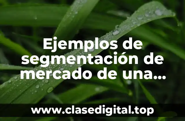 Ejemplos de segmentación de mercado de una universidad