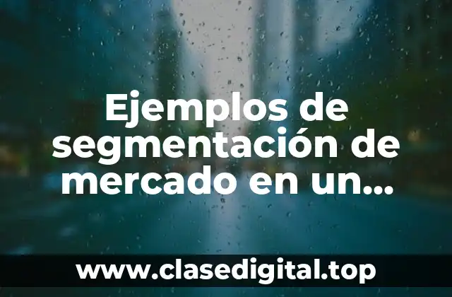 Ejemplos de segmentación de mercado en un proyecto para clientes