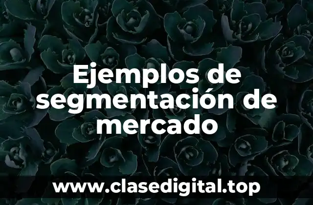 Ejemplos de segmentación de mercado