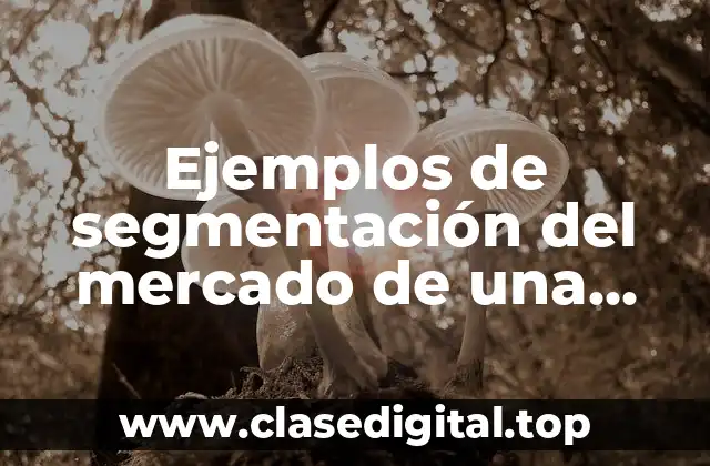 Ejemplos de segmentación del mercado de una empresa