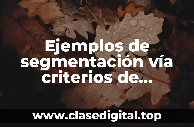 Ejemplos de segmentación vía criterios de comportamiento del producto