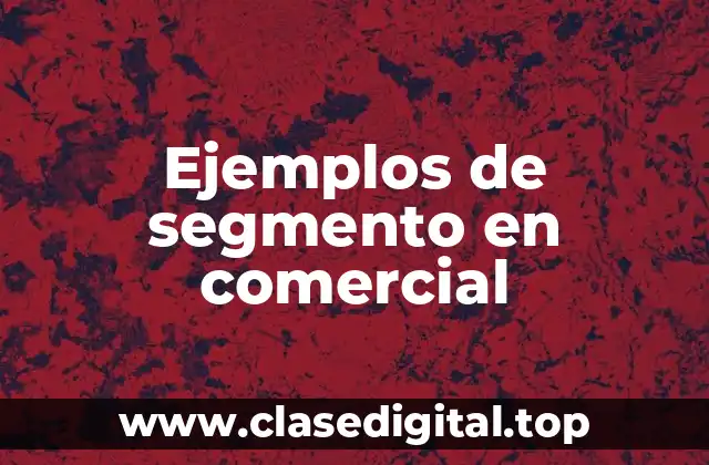 Ejemplos de segmento en comercial