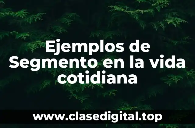 Ejemplos de Segmento en la vida cotidiana