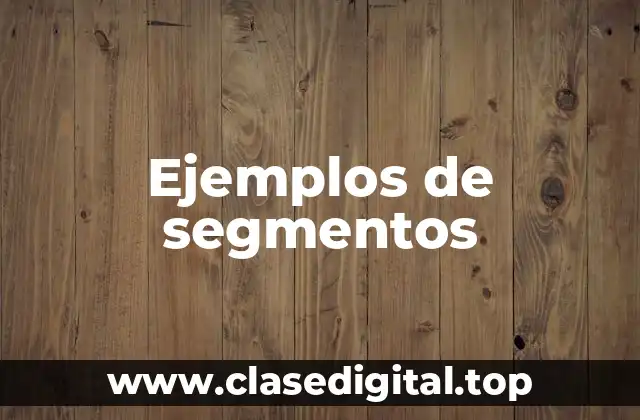 Ejemplos de segmentos