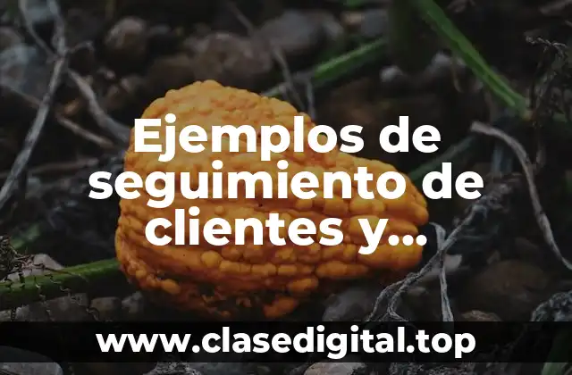 Ejemplos de seguimiento de clientes y Significado