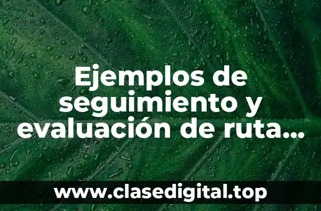 Ejemplos de seguimiento y evaluación de ruta de mejora