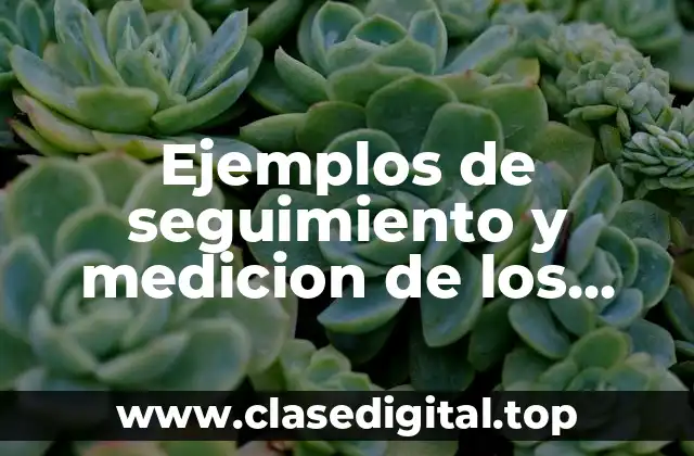 Ejemplos de seguimiento y medicion de los procesos ISO 14001