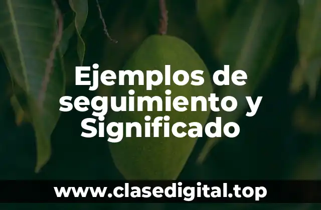 Ejemplos de seguimiento y Significado