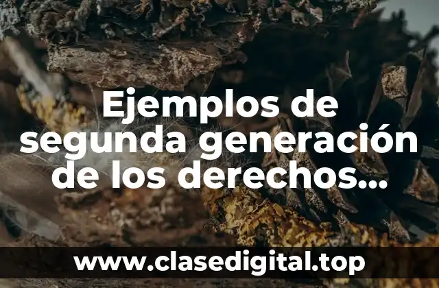 Ejemplos de segunda generación de los derechos humanos