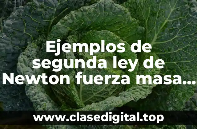 Ejemplos de segunda ley de Newton fuerza masa y aceleración