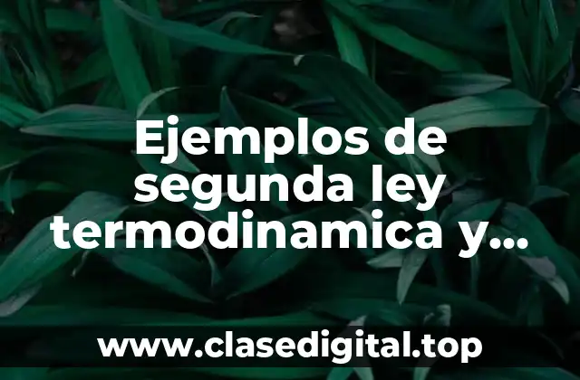 Ejemplos de segunda ley termodinamica y Significado