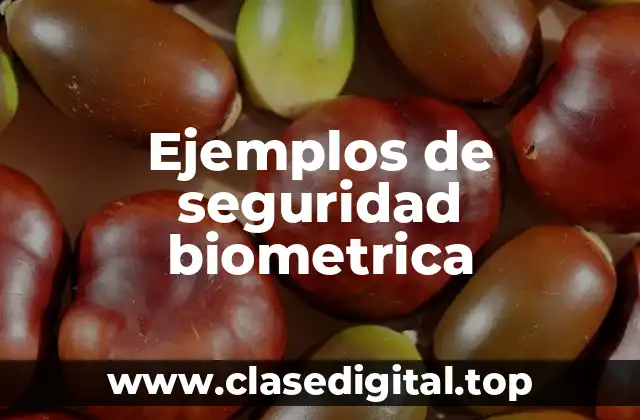 Ejemplos de seguridad biometrica