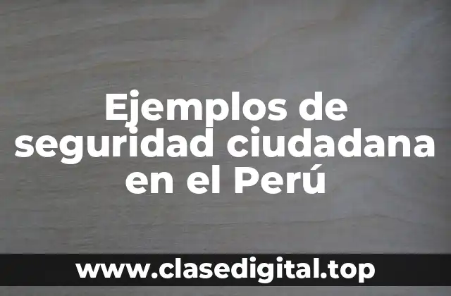 Ejemplos de seguridad ciudadana en el Perú