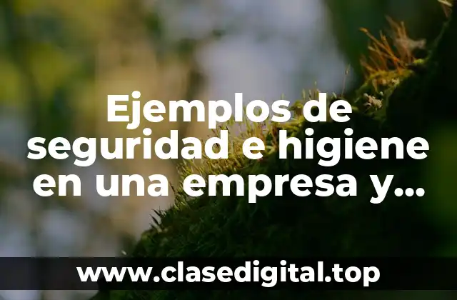 Ejemplos de seguridad e higiene en una empresa y Significado