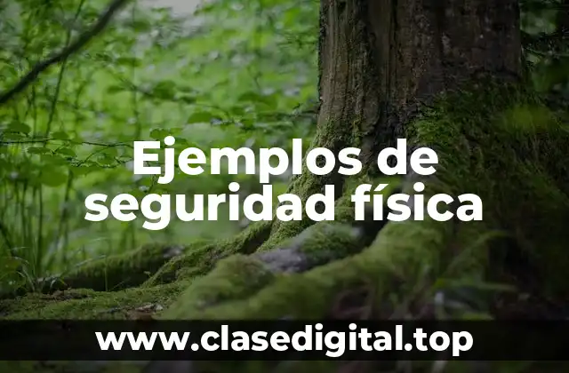Ejemplos de seguridad física