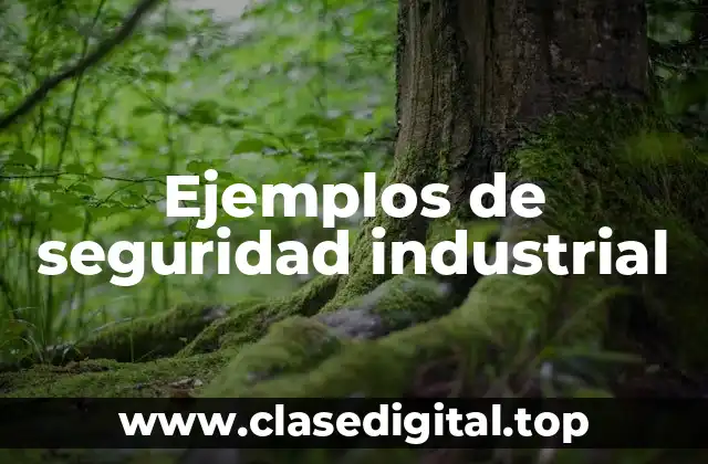 Ejemplos de seguridad industrial