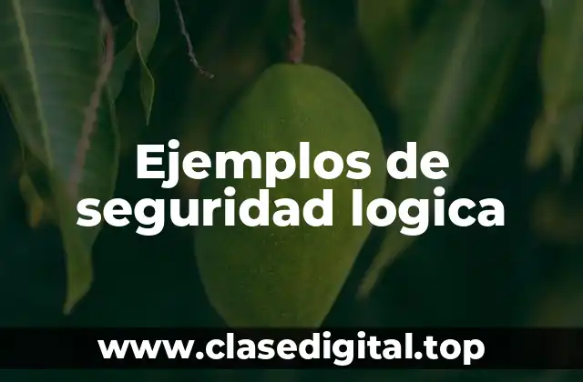 Ejemplos de seguridad logica