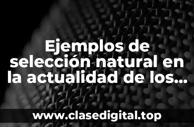 Ejemplos de selección natural en la actualidad de los animales