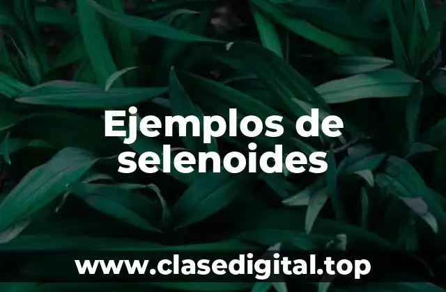 Ejemplos de selenoides