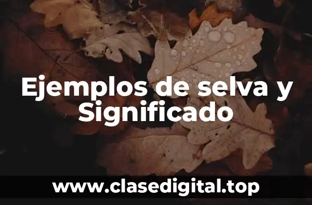 Ejemplos de selva y Significado