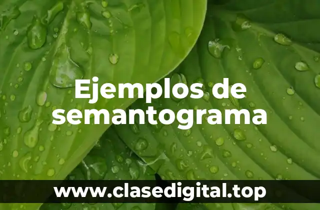 Ejemplos de semantograma