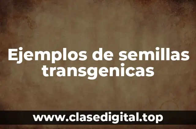 Ejemplos de semillas transgenicas