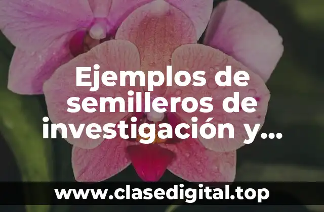 Ejemplos de semilleros de investigación y Significado
