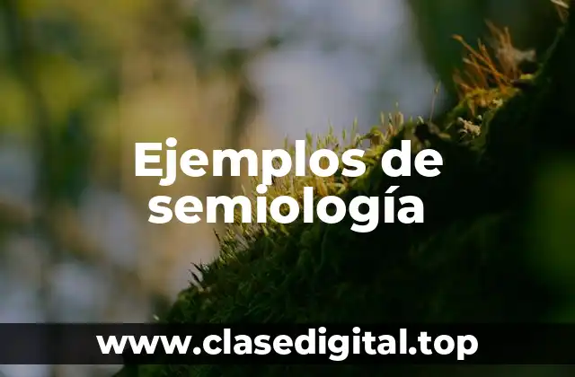 Ejemplos de semiología